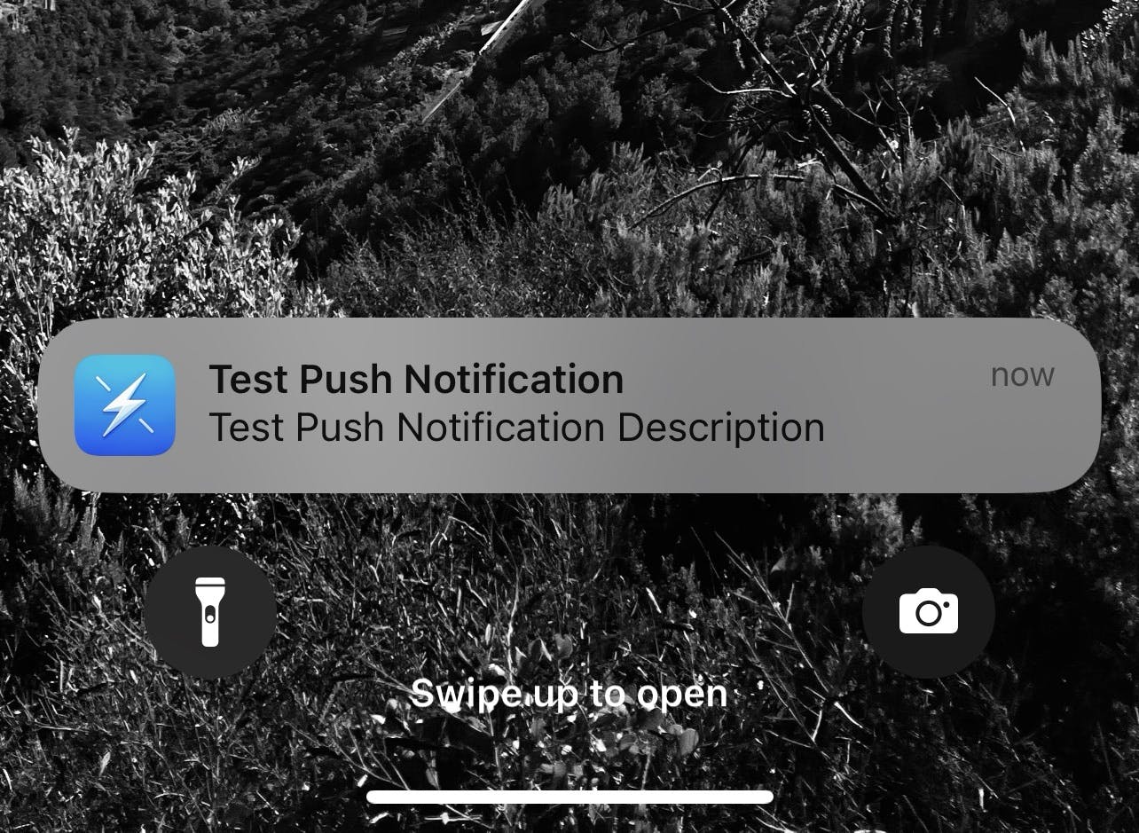 Push Notification Test Result